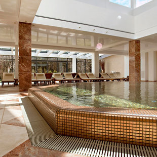 ,,Vanagupė'' viešbutis. Mozaika