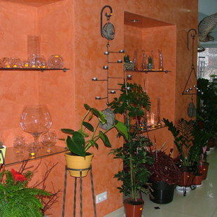 Dekoratyvinis dažymas ,,Gėlių salonas''