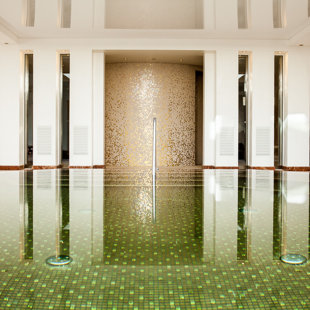 ,,Vanagupė'' viešbutis. Mozaika