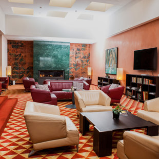 ,,Vanagupė'' viešbutis. Dekoratyvinis dažymas